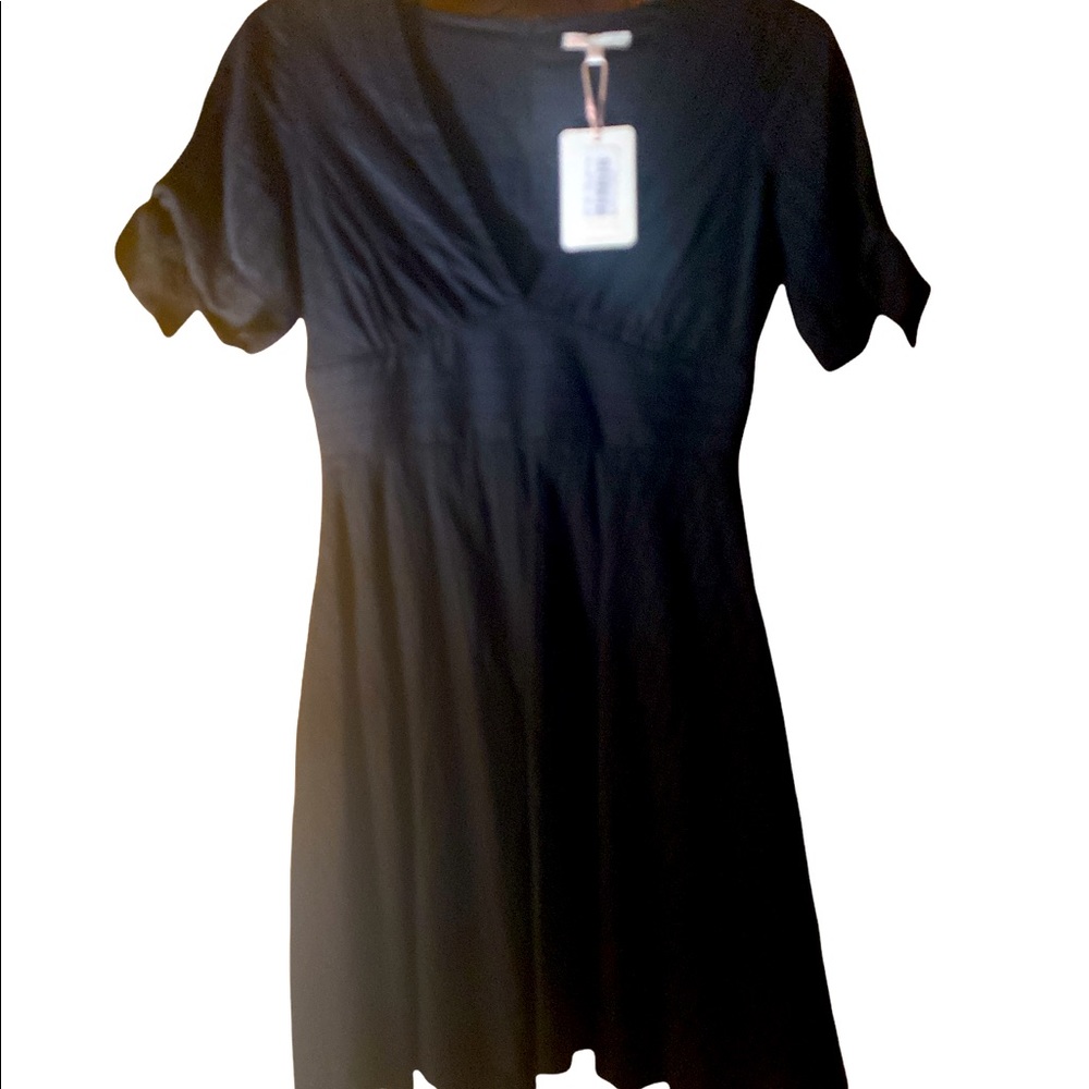 Gianni Bini Dress